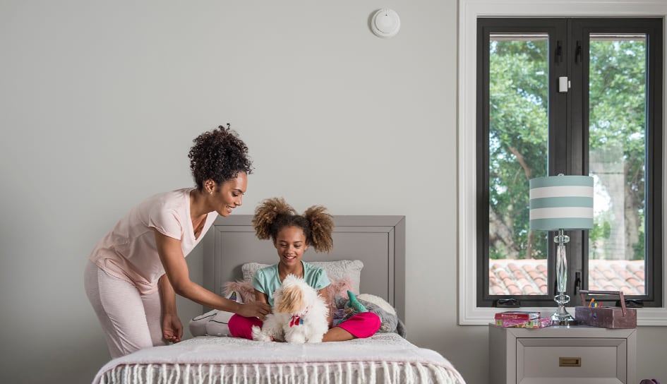 Lansing carbon monoxide detector